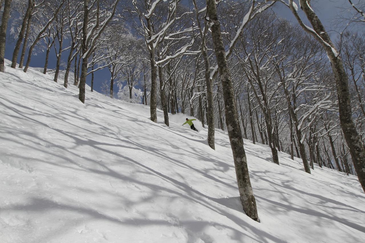 Powder Temple Hotell Hakuba Exteriör bild